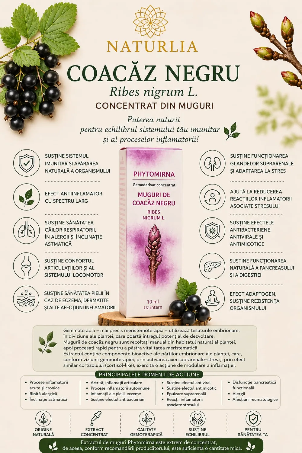 Coacaz Negru (Ribes nigrum) - Gemoderivat Concentrat, 10 ml spate
