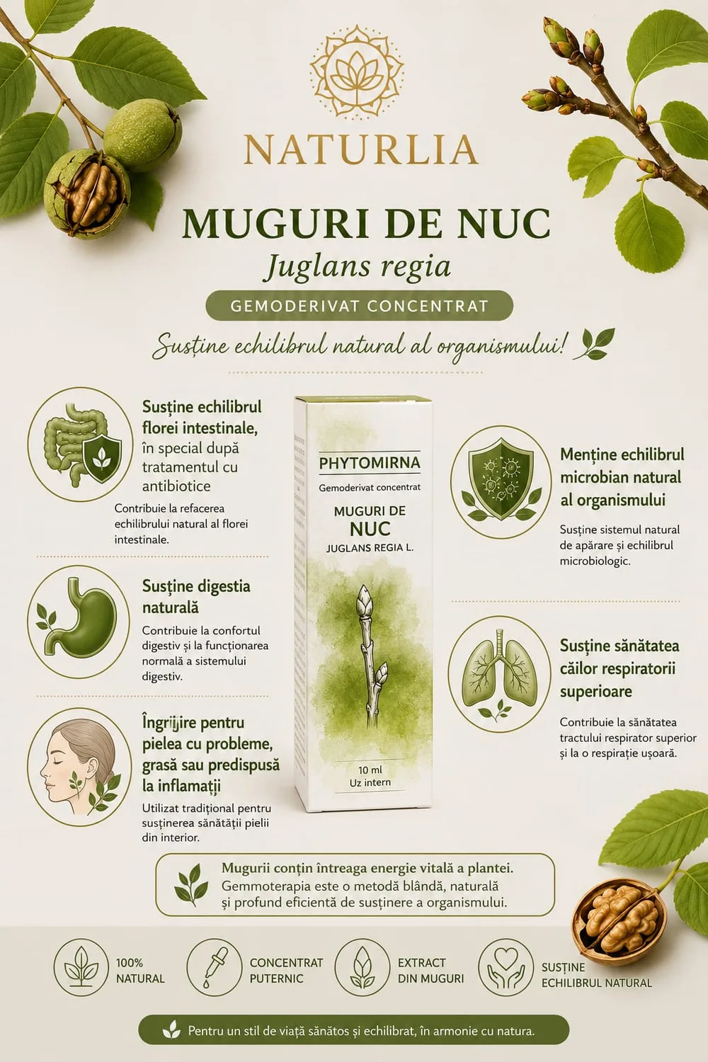 Nuc (Juglans regia) - Gemoderivat Concentrat, 10 ml spate