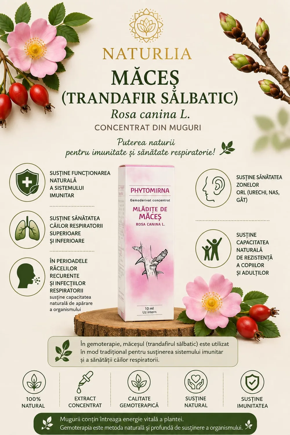 Maces (Rosa canina) - Gemoderivat Concentrat, 10 ml spate