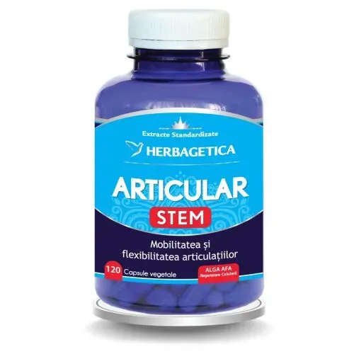 Articular Stem, 120 capsule