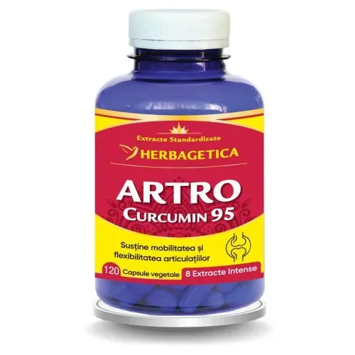 Artro Curcumin 95, 120 capsule